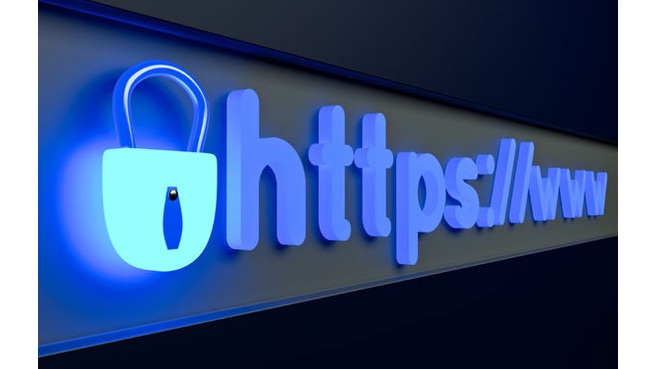 Vulnerabilidades peligrosas para su sitio web