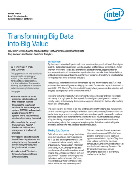 WP_1_Intel_transformando Big Data envalor